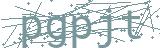 Fehler beim Laden des Captchas
