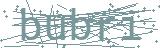 Fehler beim Laden des Captchas