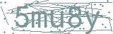 Fehler beim Laden des Captchas