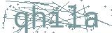 Fehler beim Laden des Captchas