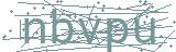 Fehler beim Laden des Captchas